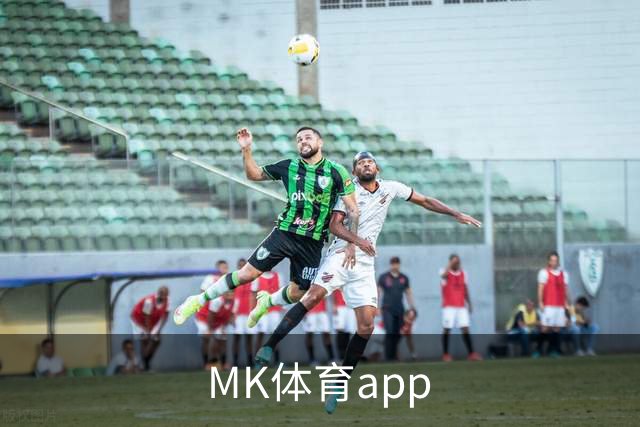 MK体育app公司介绍图